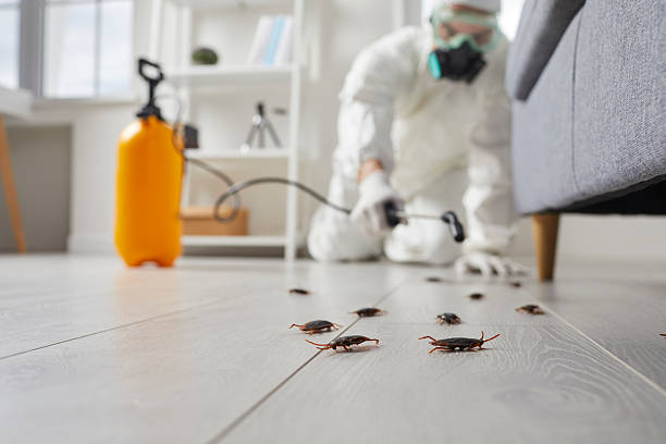 Commercial Kitchen Cockroach Control in Point Venture